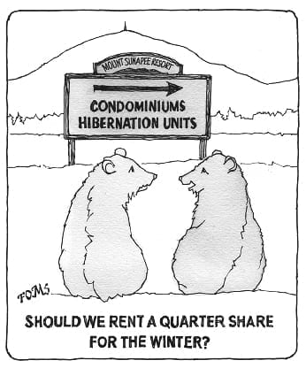 Bears Condo Hibernation Units