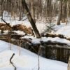 Ice, water, and watersheds Chandler Brook, along the Beach Access Road, at Mount Sunapaee State Park, Newbury, N.H>