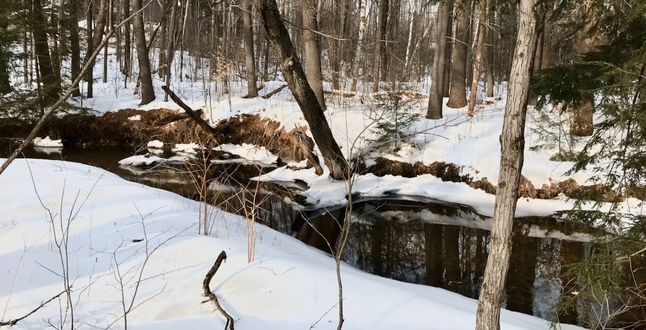 Ice, water, and watersheds