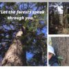 Let the forests speak through you Let the forests speak through you.
