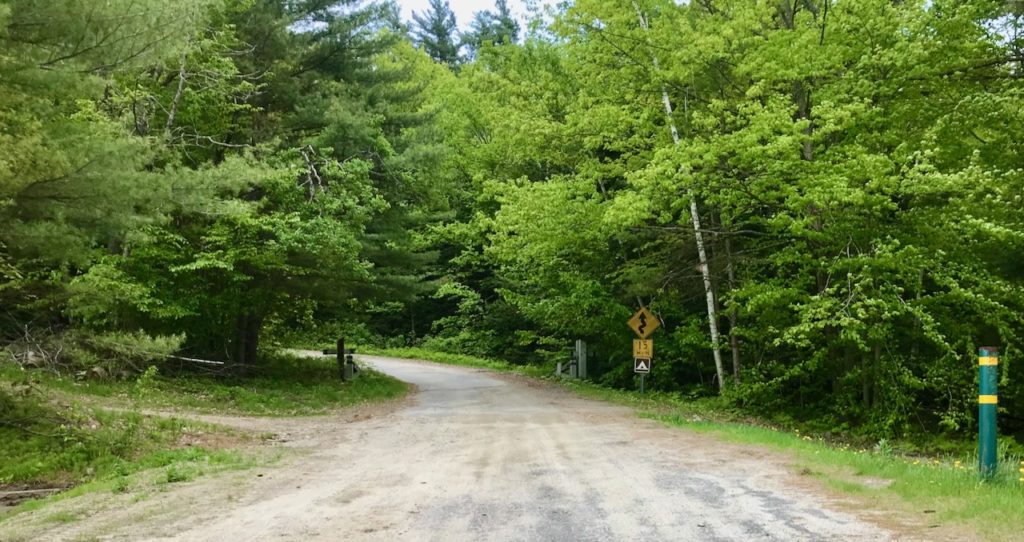 Mount Sunapee State Park campground road