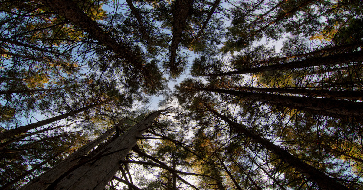 Sunapee Mountain hike bestows far more than one seeks