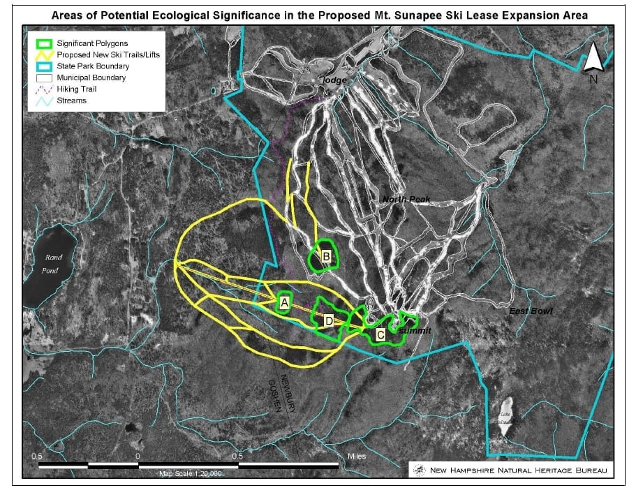 Natural Heritage Studies of Mount Sunapee Friends of Mount Sunapee