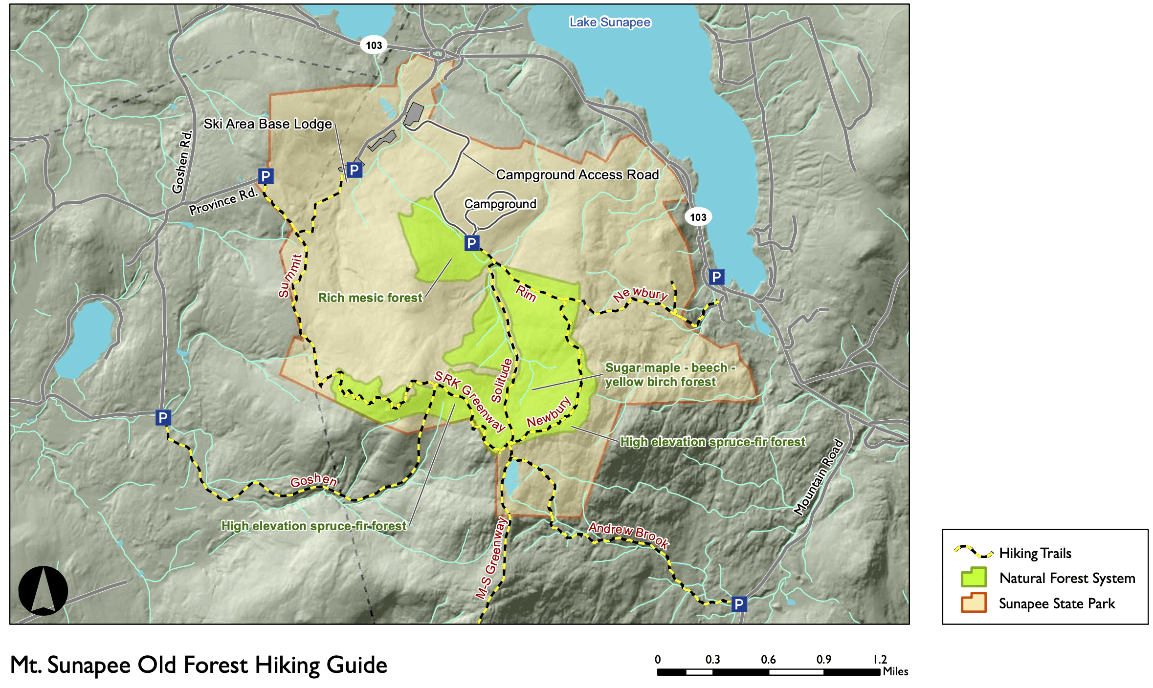 New Brochure: Mount Sunapee State Park’s Rare Old Forest And Hiking Map