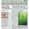 VGJ: Citizens work to protect ancient forest on Mt. Sunapee VGT 2019pg